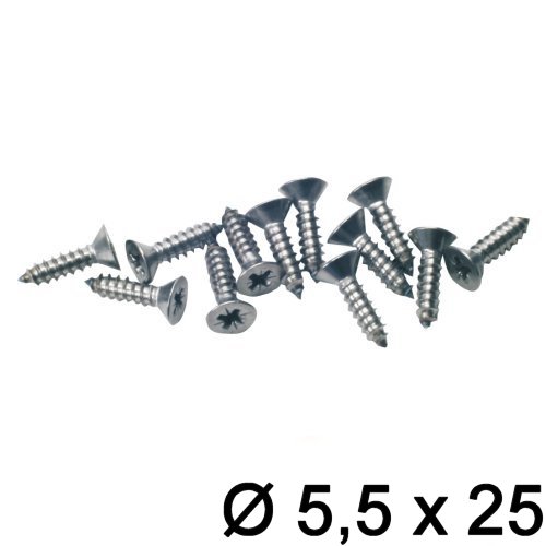 Senkkopf 5,5 x 25